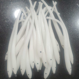Sandeel Slug Brancas